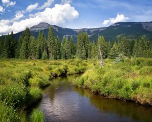 Preview wallpaper river, mountains, trees, grass, greenery, landscape