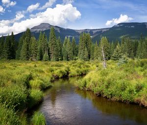 Preview wallpaper river, mountains, trees, grass, greenery, landscape