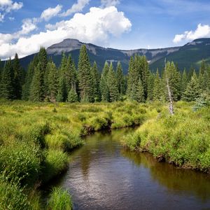 Preview wallpaper river, mountains, trees, grass, greenery, landscape