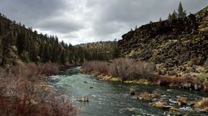 Preview wallpaper river, mountains, trees, bushes, nature