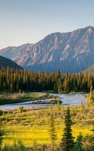 Preview wallpaper river, mountains, trees, valley, landscape, summer