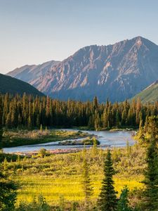 Preview wallpaper river, mountains, trees, valley, landscape, summer