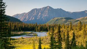Preview wallpaper river, mountains, trees, valley, landscape, summer