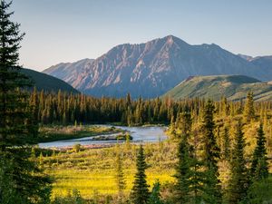 Preview wallpaper river, mountains, trees, valley, landscape, summer