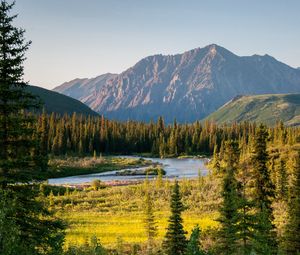 Preview wallpaper river, mountains, trees, valley, landscape, summer