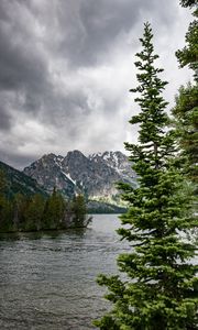 Preview wallpaper river, mountains, trees, pines, landscape