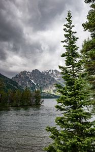 Preview wallpaper river, mountains, trees, pines, landscape