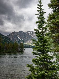 Preview wallpaper river, mountains, trees, pines, landscape