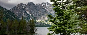 Preview wallpaper river, mountains, trees, pines, landscape