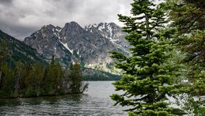 Preview wallpaper river, mountains, trees, pines, landscape