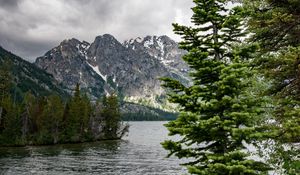 Preview wallpaper river, mountains, trees, pines, landscape