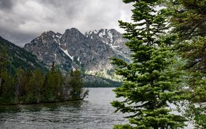 Preview wallpaper river, mountains, trees, pines, landscape