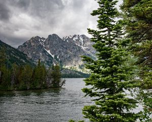 Preview wallpaper river, mountains, trees, pines, landscape