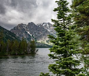 Preview wallpaper river, mountains, trees, pines, landscape