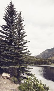 Preview wallpaper river, mountains, trees, coast, landscape, hills