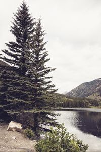 Preview wallpaper river, mountains, trees, coast, landscape, hills