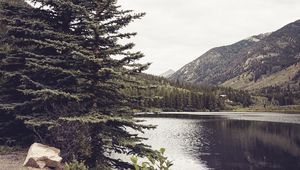 Preview wallpaper river, mountains, trees, coast, landscape, hills