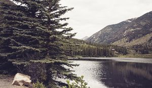 Preview wallpaper river, mountains, trees, coast, landscape, hills