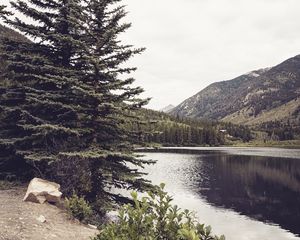 Preview wallpaper river, mountains, trees, coast, landscape, hills