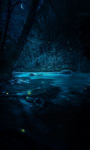 Preview wallpaper river, night, trees, light, stones