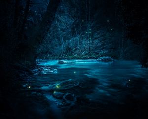 Preview wallpaper river, night, trees, light, stones