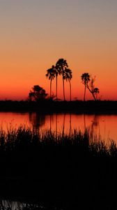 Preview wallpaper river, palm trees, grass, silhouettes, sunset, dark