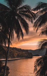 Preview wallpaper river, palm trees, twilight, landscape, tropical