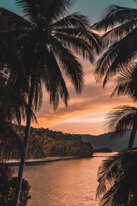 Preview wallpaper river, palm trees, twilight, landscape, tropical