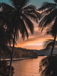 Preview wallpaper river, palm trees, twilight, landscape, tropical