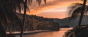 Preview wallpaper river, palm trees, twilight, landscape, tropical