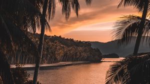 Preview wallpaper river, palm trees, twilight, landscape, tropical