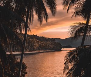 Preview wallpaper river, palm trees, twilight, landscape, tropical