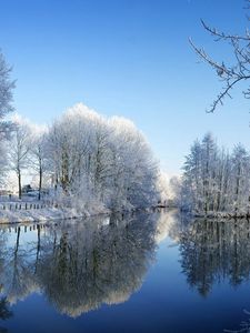 Preview wallpaper river, park, winter, trees, hoarfrost, reflection