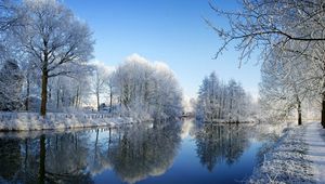 Preview wallpaper river, park, winter, trees, hoarfrost, reflection