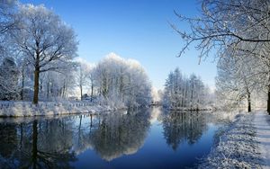 Preview wallpaper river, park, winter, trees, hoarfrost, reflection