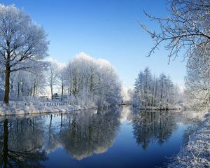 Preview wallpaper river, park, winter, trees, hoarfrost, reflection