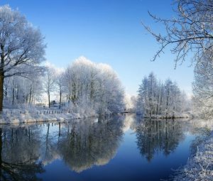 Preview wallpaper river, park, winter, trees, hoarfrost, reflection