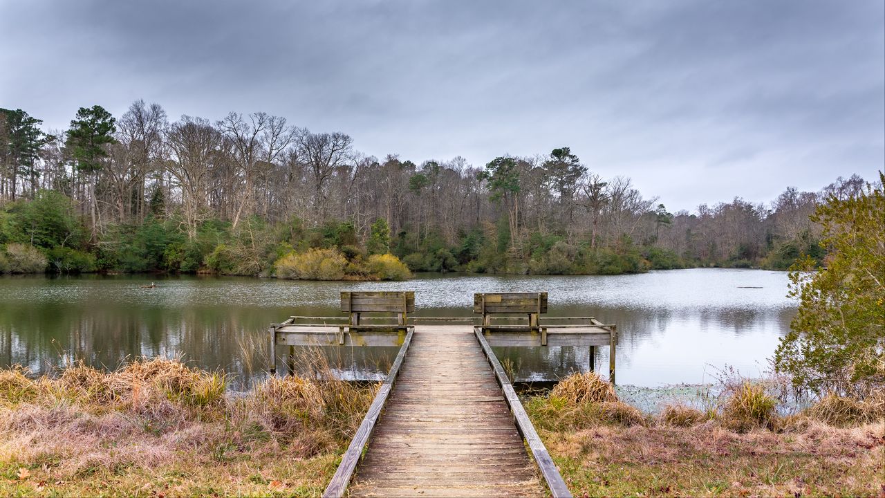 Wallpaper river, pier, trees, nature, landscape