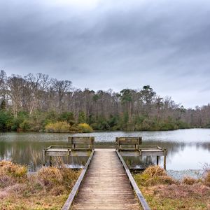 Preview wallpaper river, pier, trees, nature, landscape