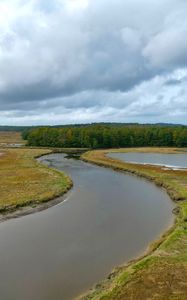 Preview wallpaper river, ponds, field, forest, clouds