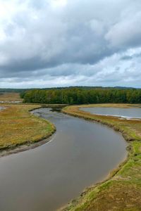 Preview wallpaper river, ponds, field, forest, clouds