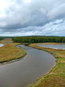 Preview wallpaper river, ponds, field, forest, clouds