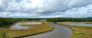 Preview wallpaper river, ponds, field, forest, clouds