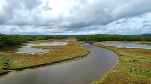 Preview wallpaper river, ponds, field, forest, clouds