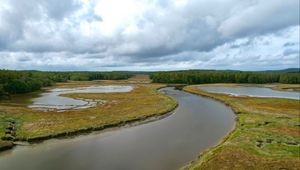 Preview wallpaper river, ponds, field, forest, clouds