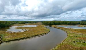 Preview wallpaper river, ponds, field, forest, clouds