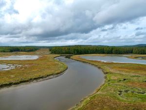 Preview wallpaper river, ponds, field, forest, clouds