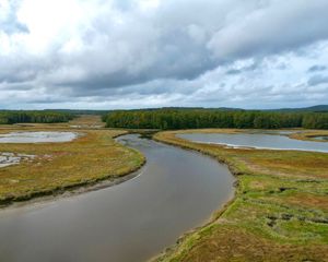 Preview wallpaper river, ponds, field, forest, clouds