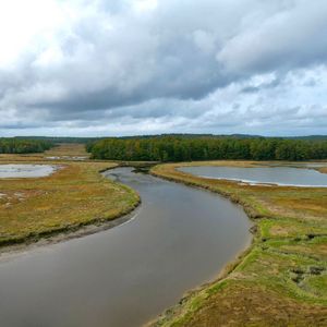 Preview wallpaper river, ponds, field, forest, clouds