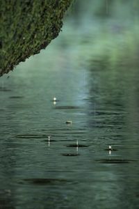 Preview wallpaper river, rain, water, drops, stone, macro